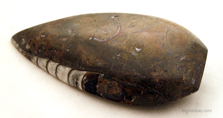 Stone Fossil Pipe or Cigar Ashtray - Image 3