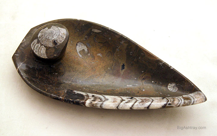 Stone Fossil Pipe or Cigar Ashtray - Image 2
